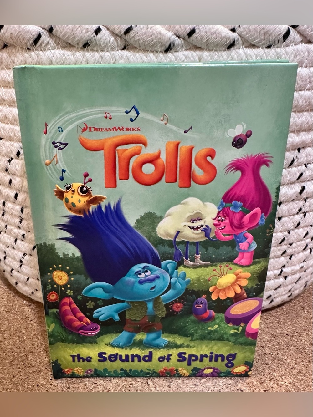 $3 CLOSET CLEAN OUT - DreamWorks Trolls The Sound of Spring